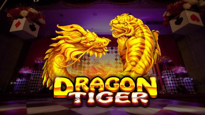 12 Finest Dragon vs Tiger Game Application to Gain Genuine Cash in 2024